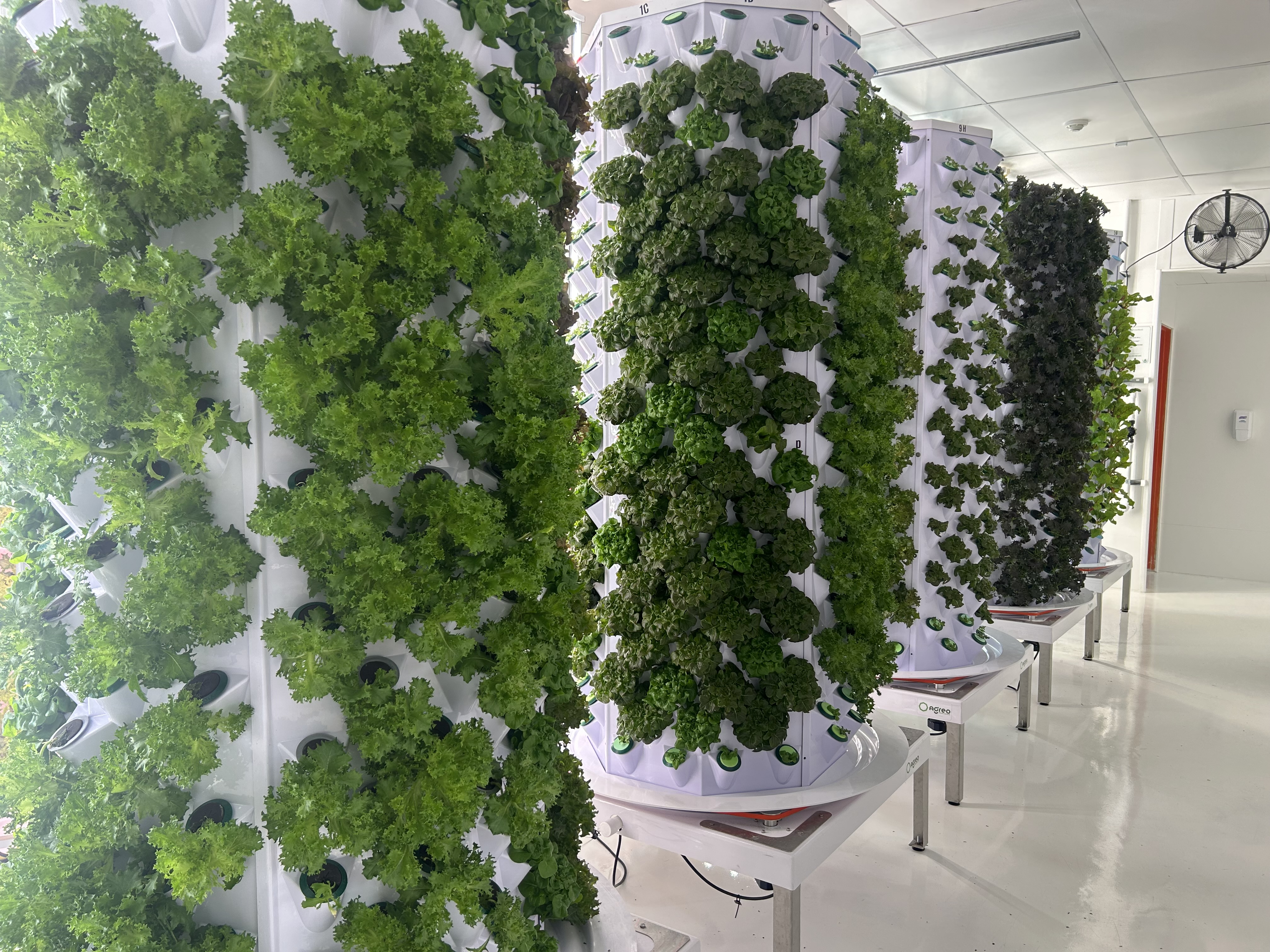 GreenReach Indoor Farm