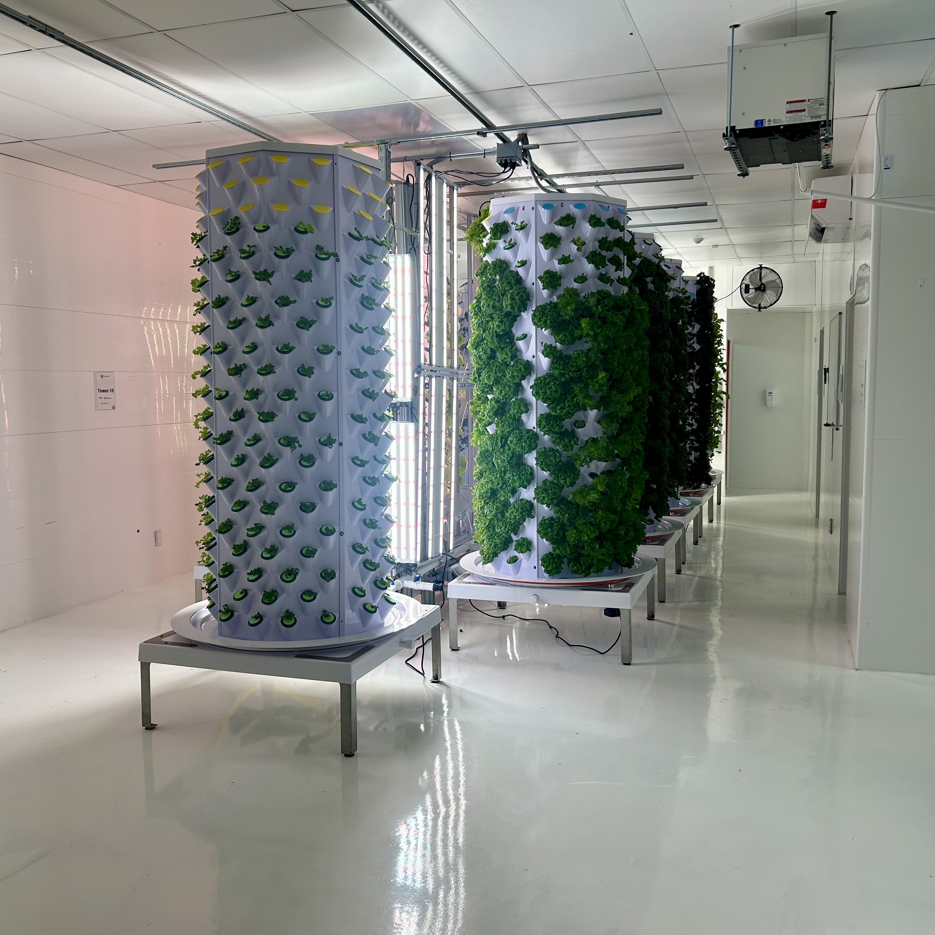 Vertical Farm Growing Systems